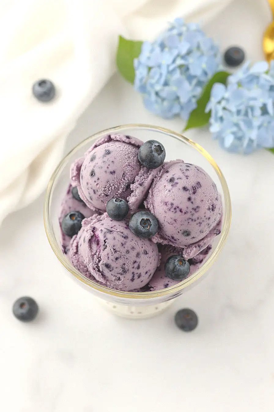 blueberry ice cream