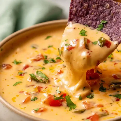 instant pot queso dip